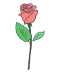 rose