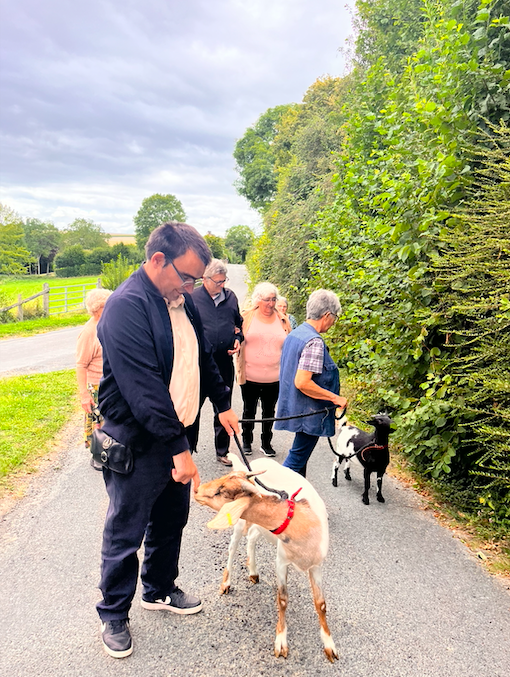 Promenade Tulipe et Lavande en groupe