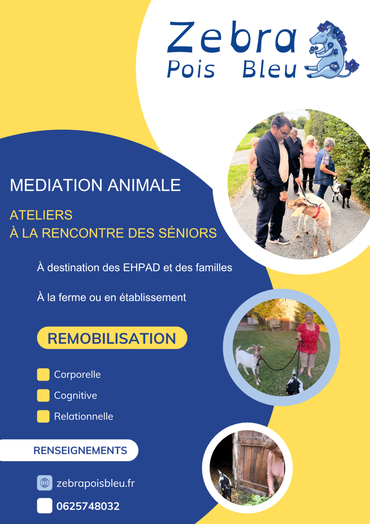 Médiation Animale : Séniors