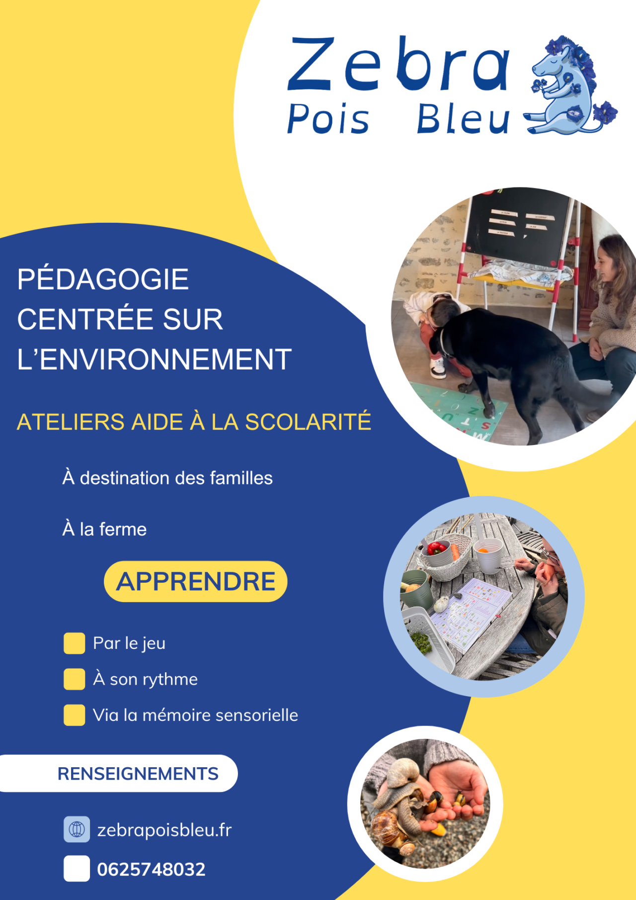 Pédagogie centrée sur l'environnement